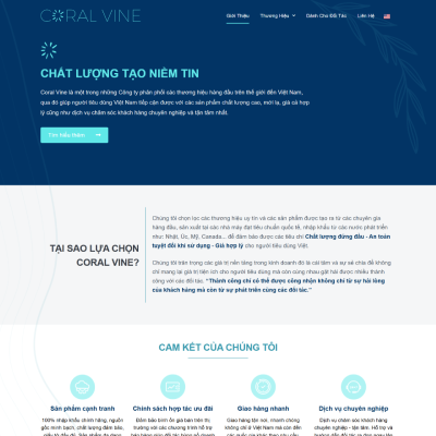 Mau Code Web Gioi Thieu San Pham 1